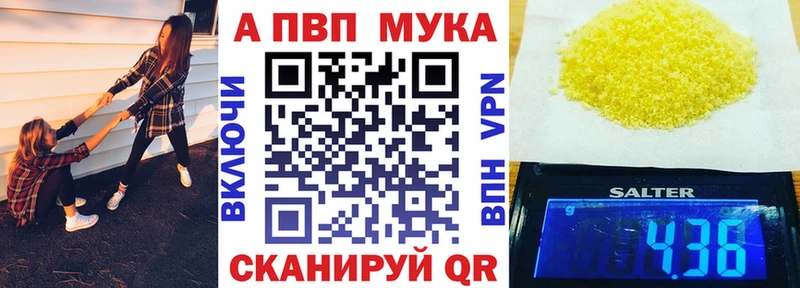 APVP СК  Онега 