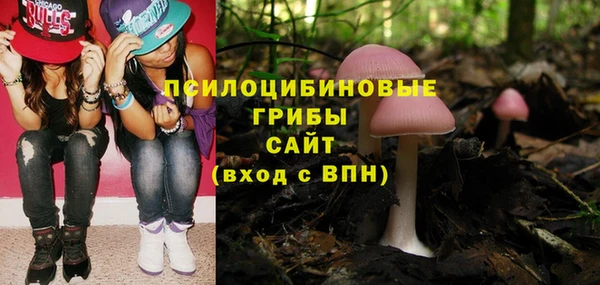 метамфетамин Гусь-Хрустальный